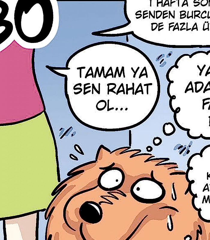 Serkan Altuniğne – Bobo Karikatür Serisi